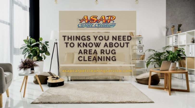 Area Rug Cleaning Modesto